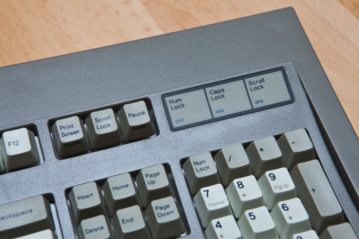 ֹѻɫMODEL M