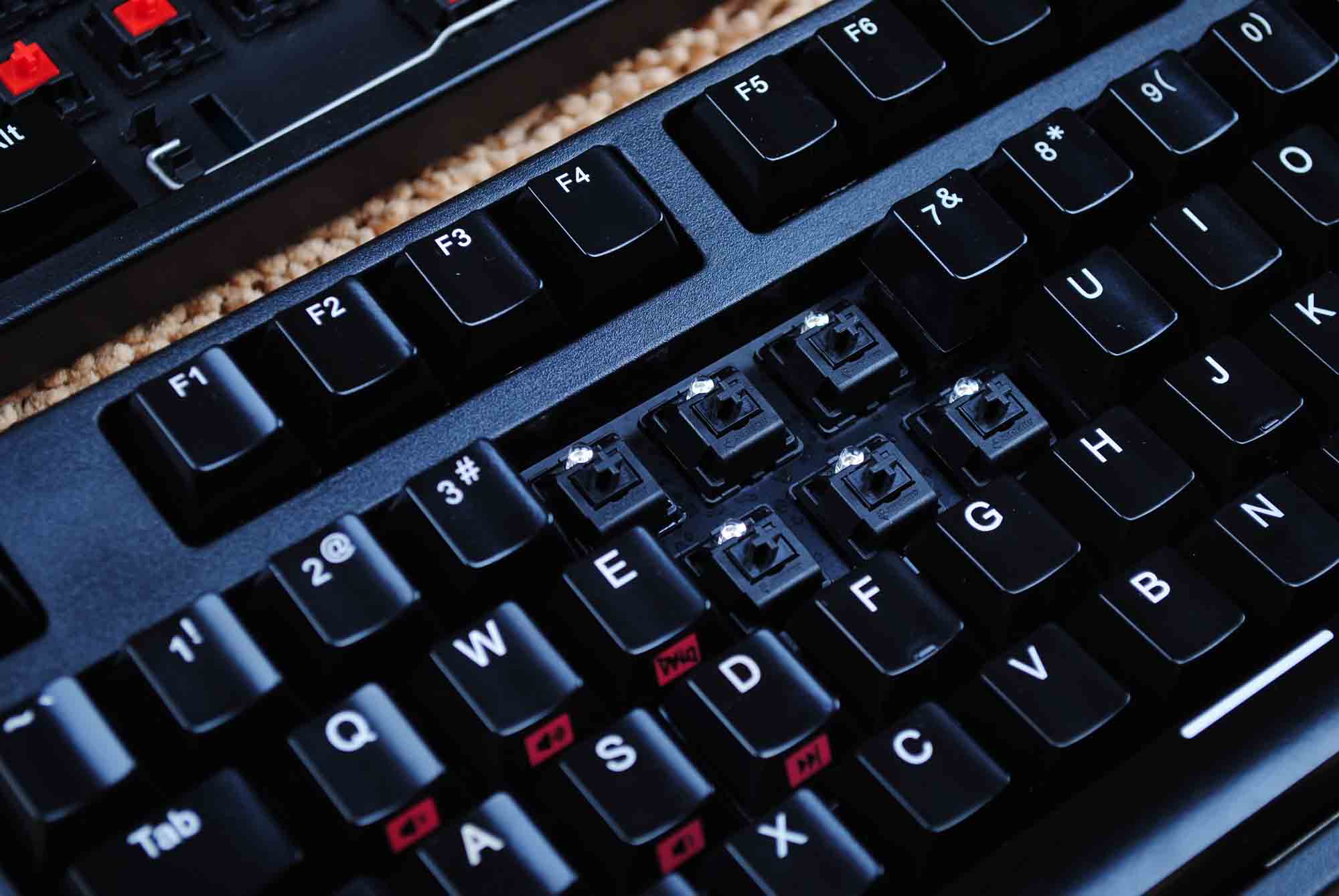 ����è������NOPPOO ŵ�� Cho Pro Led ��ɫ������� ���������~~~~