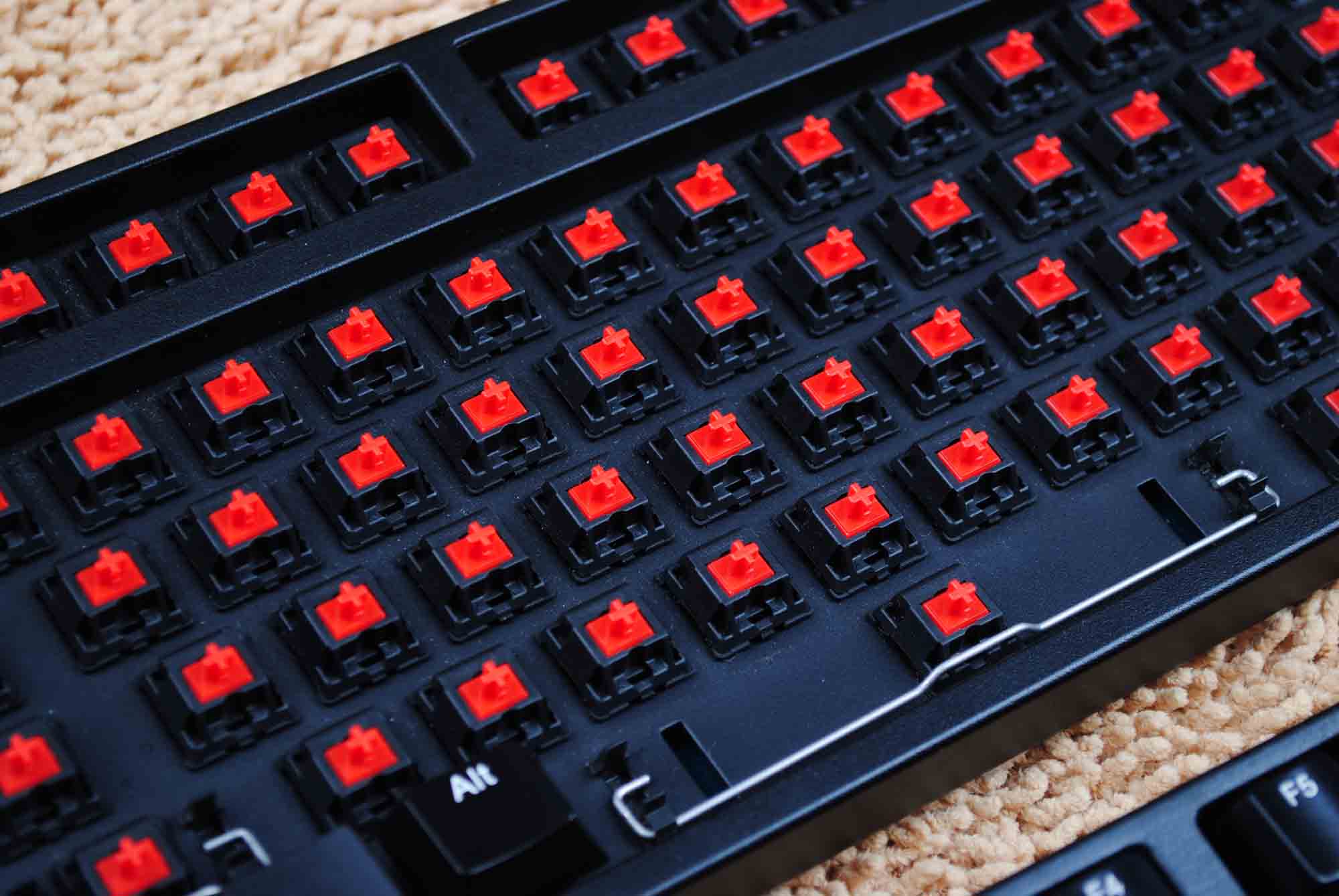 ����è������NOPPOO ŵ�� Cho Pro Led ��ɫ������� ���������~~~~