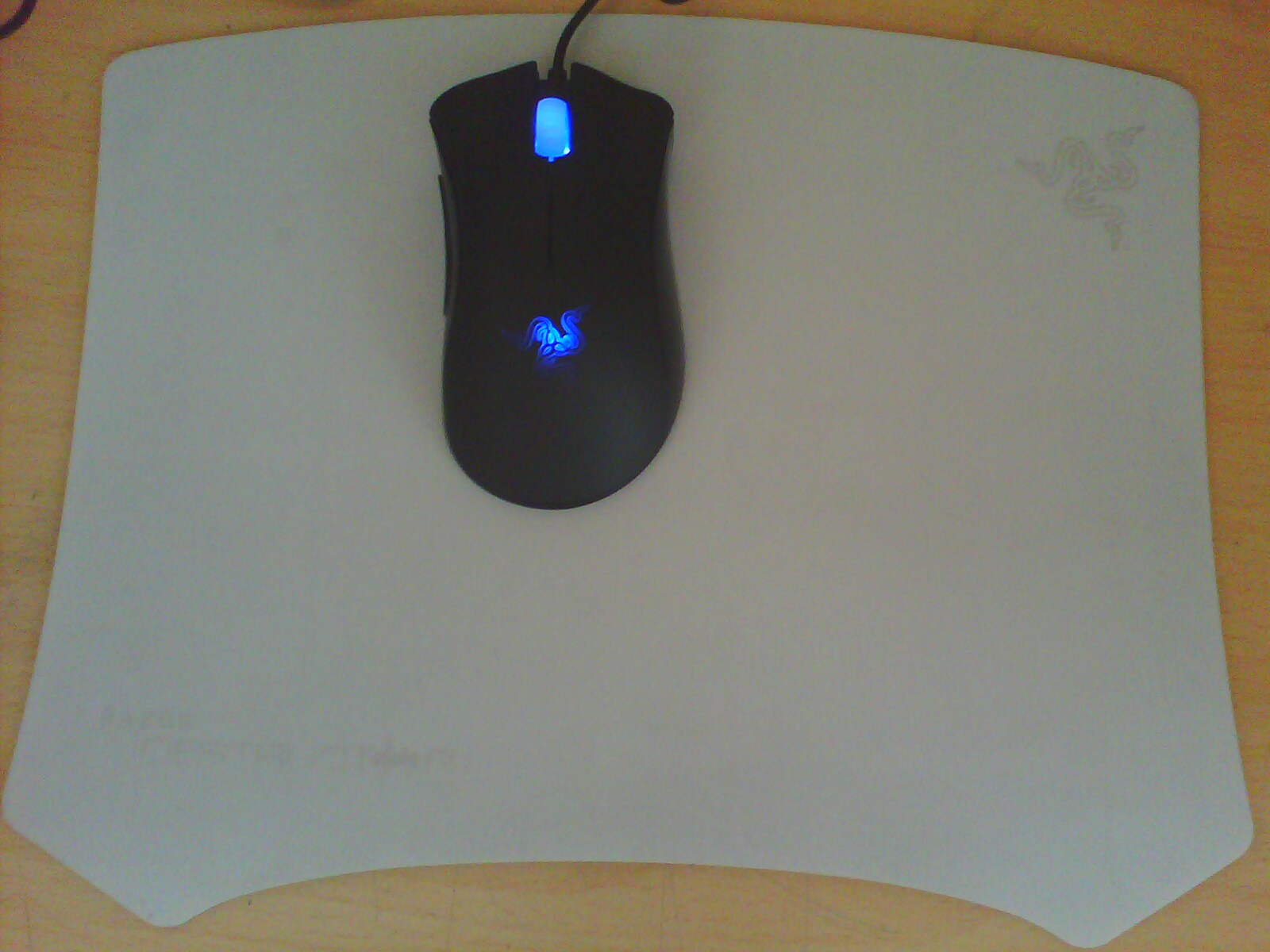 IMG0113A.jpg