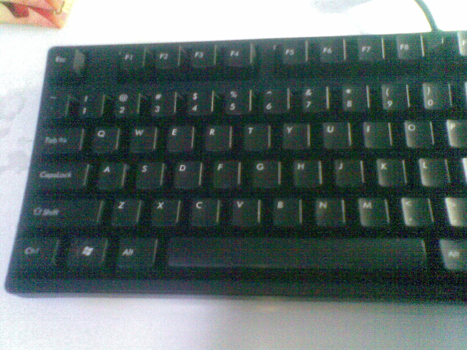 20110828.jpg