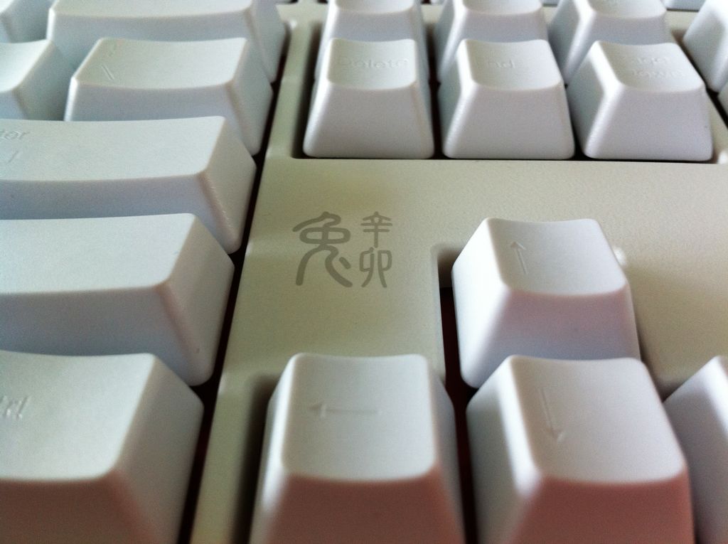 ducky.jpg