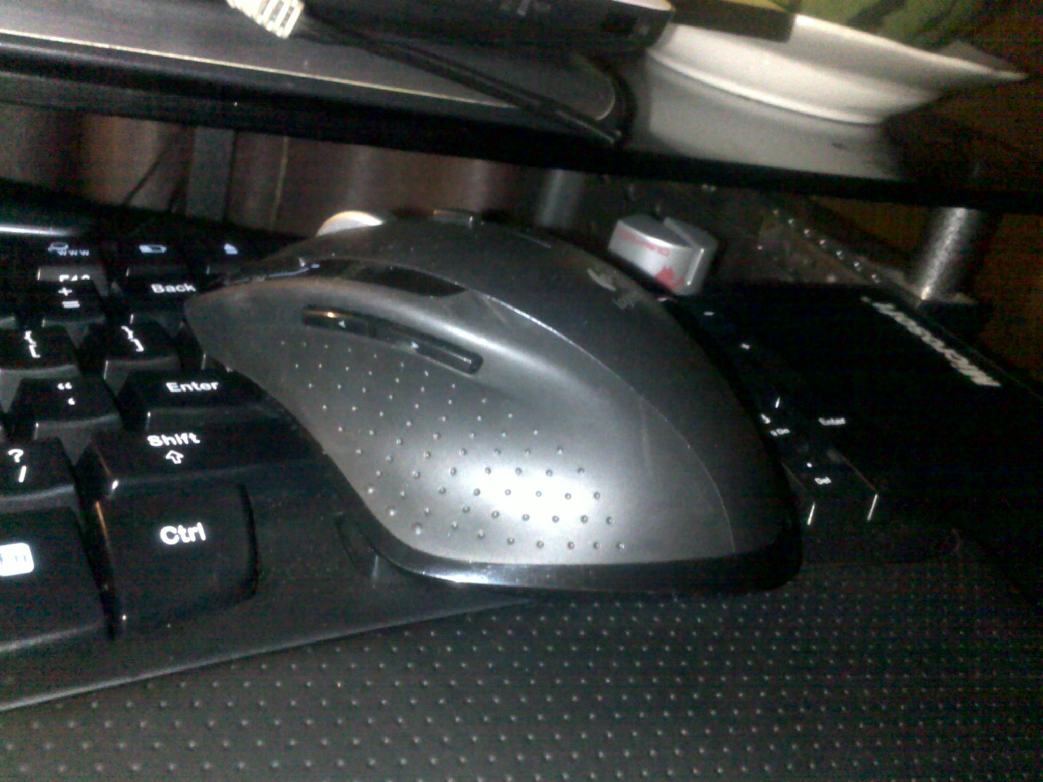 20110525040.jpg