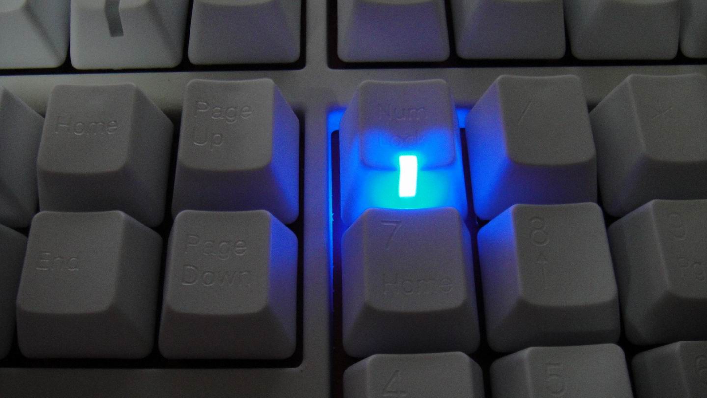 ���˷��� �ڶ��ѻ�е���� ducky���� ���� ��������