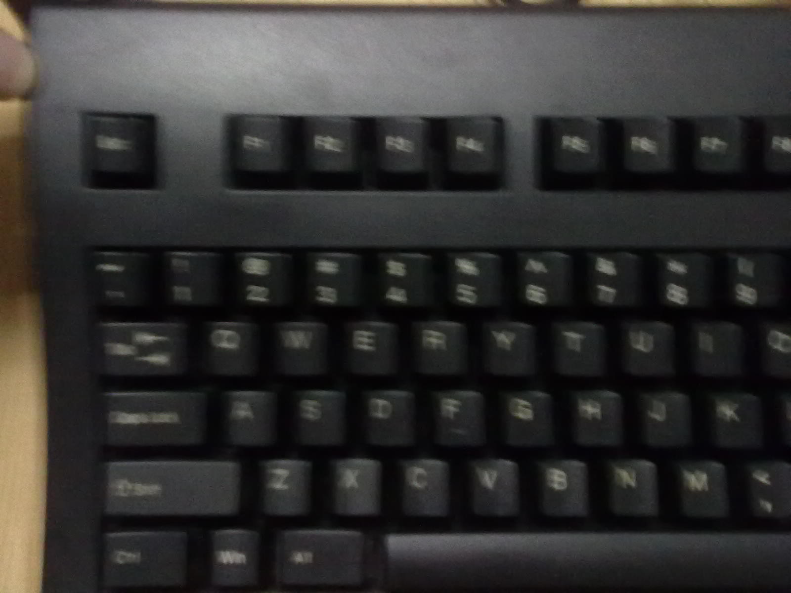 20110830121.jpg