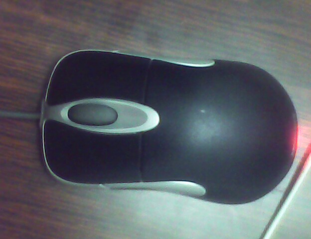 IMG0159A.jpg