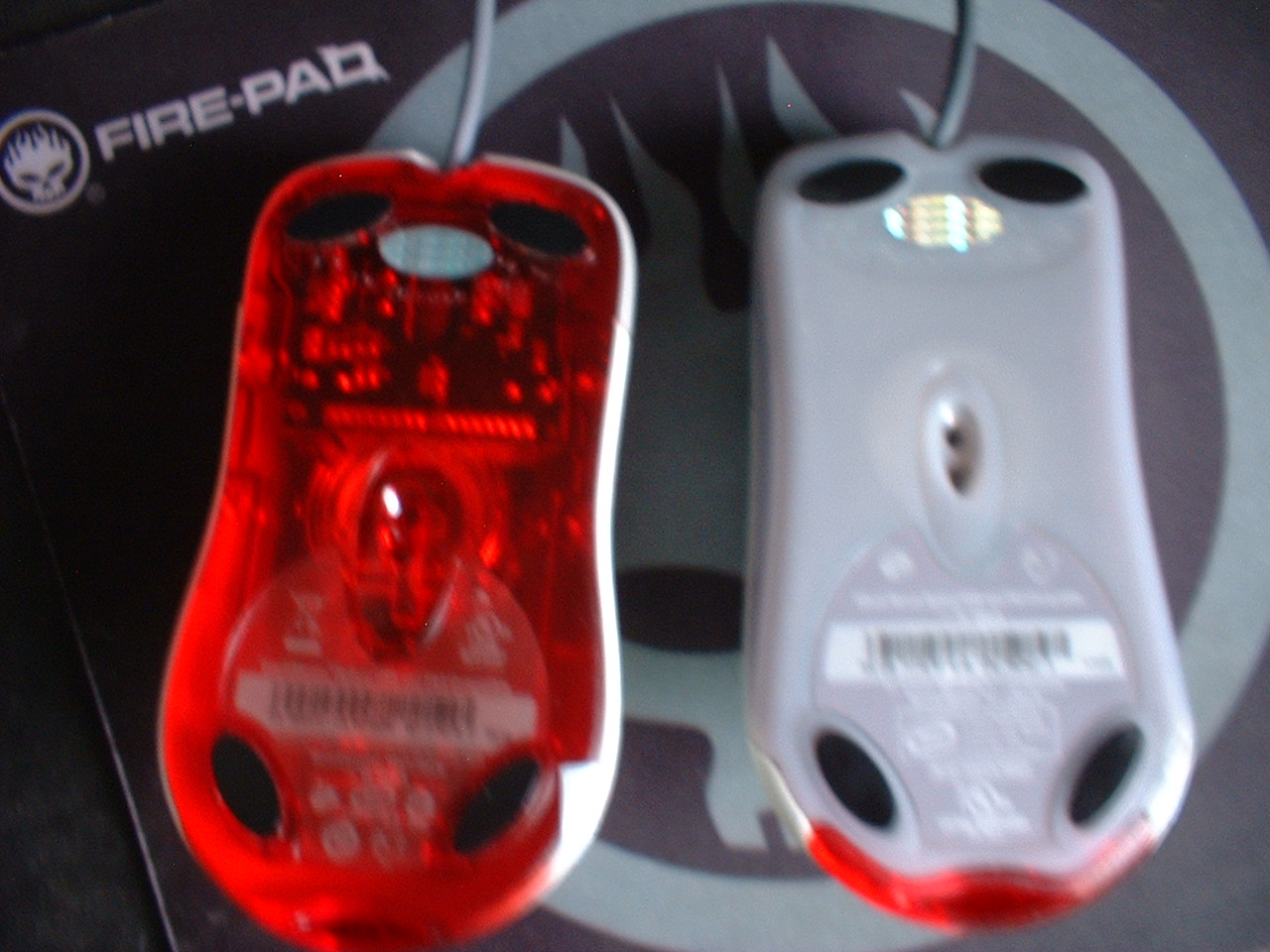 DSCF0025.JPG