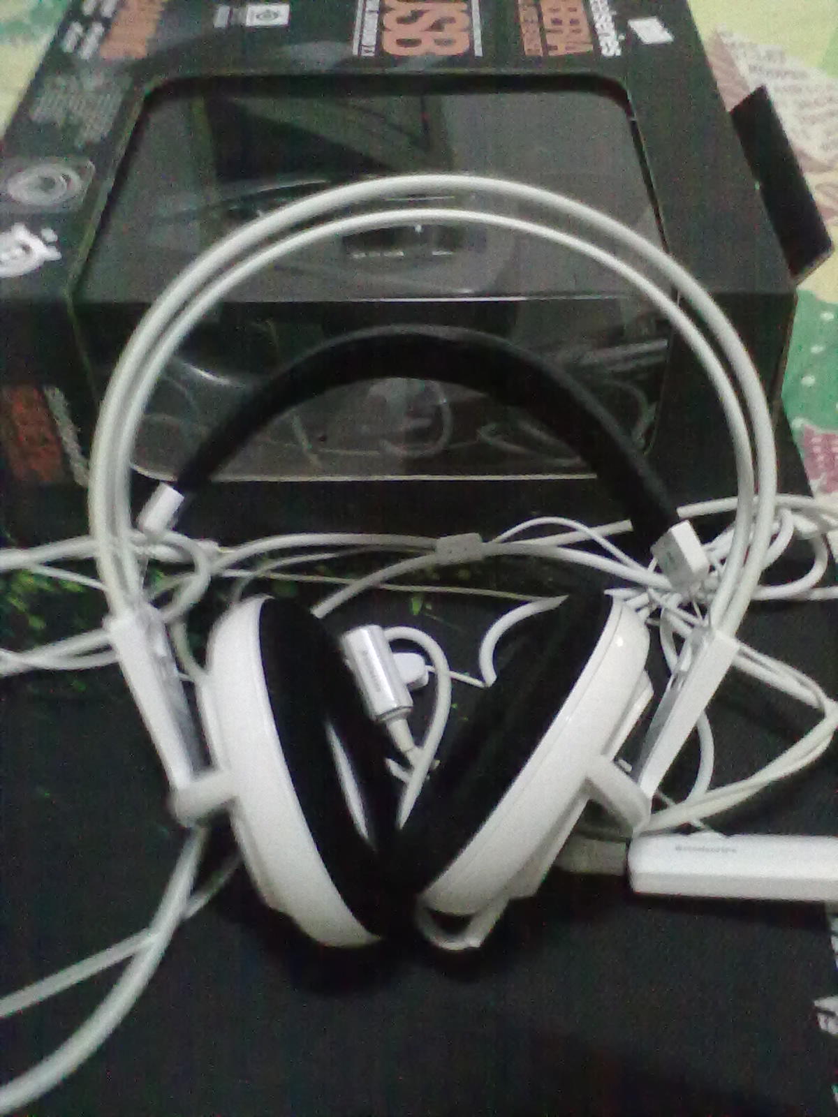 20110831249.jpg