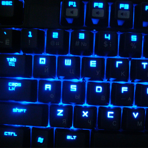 ���ݳ��ۺڹѸ��ռ���Ӣ���İ棬��600Ԫ
