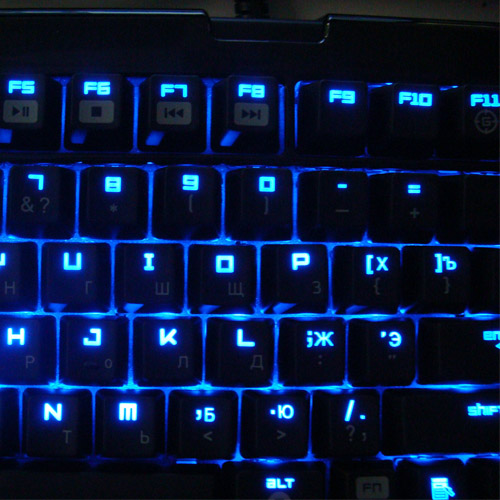 ���ݳ��ۺڹѸ��ռ���Ӣ���İ棬��600Ԫ