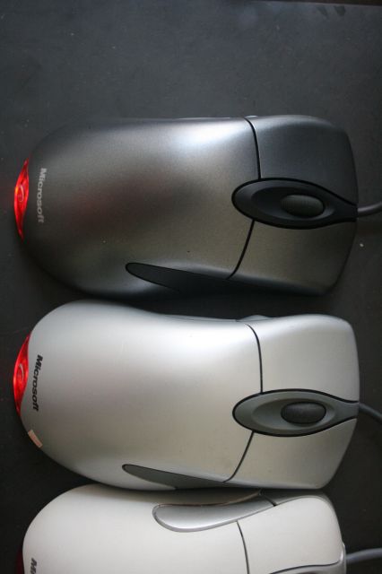 IMG_7907_1.jpg