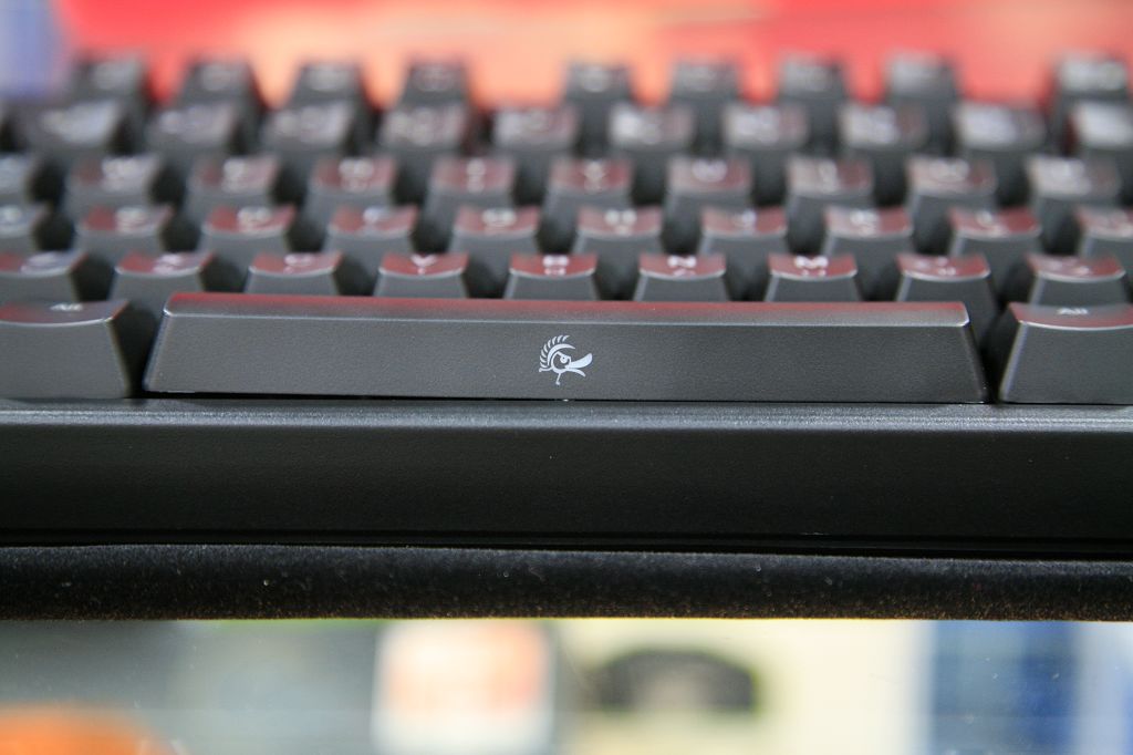 Ducky Shine~