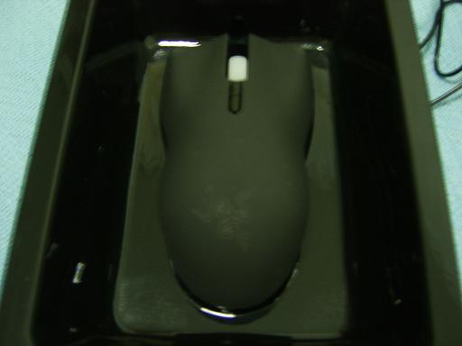 SV201149.JPG