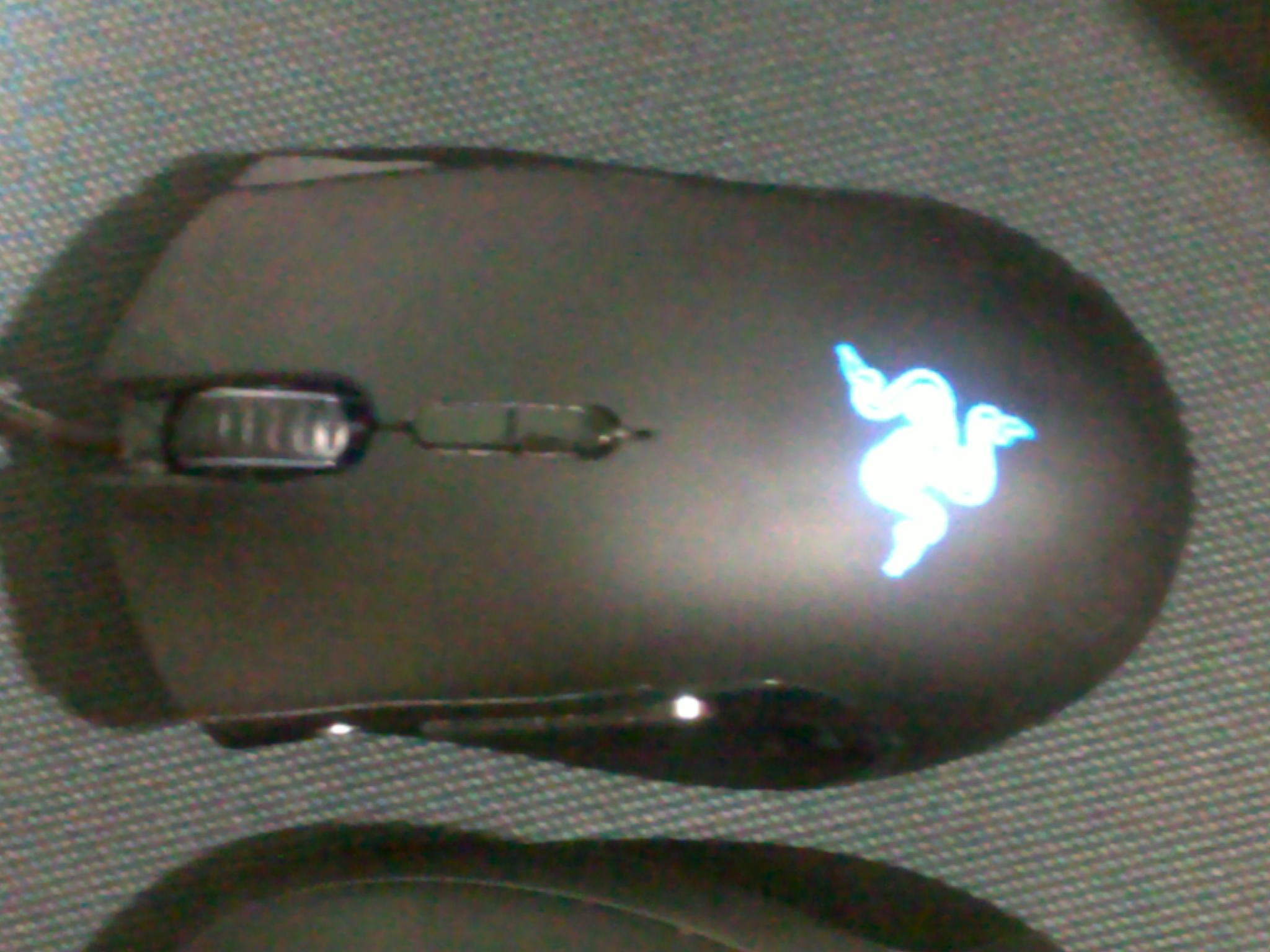 20110905088.jpg