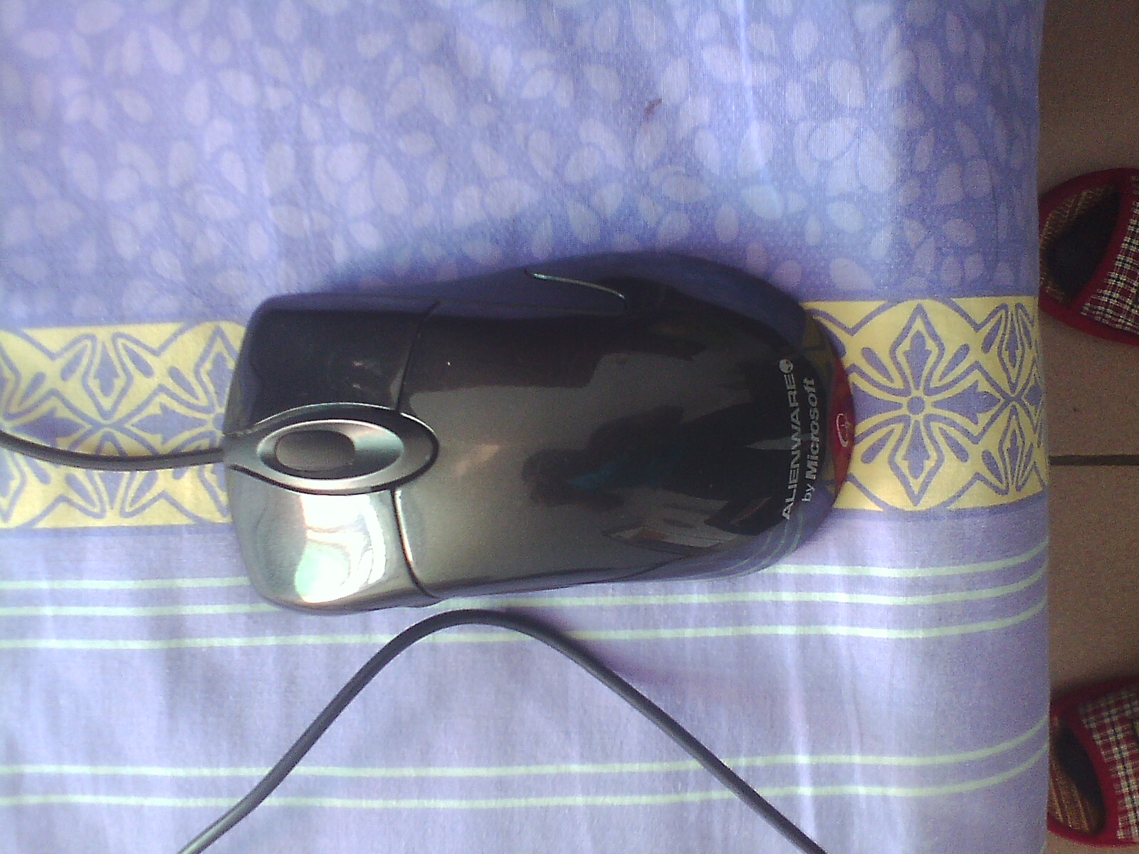 IMG0906085401.jpg