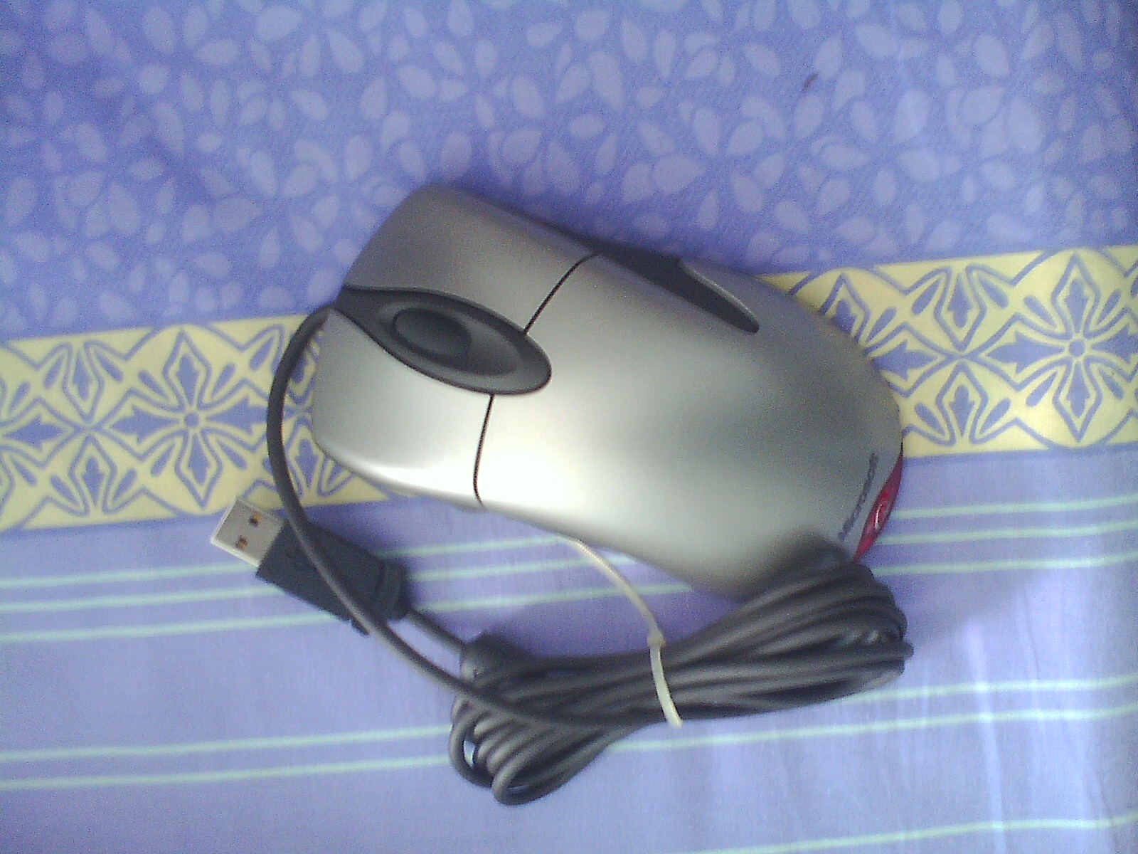 IMG0906085600.jpg