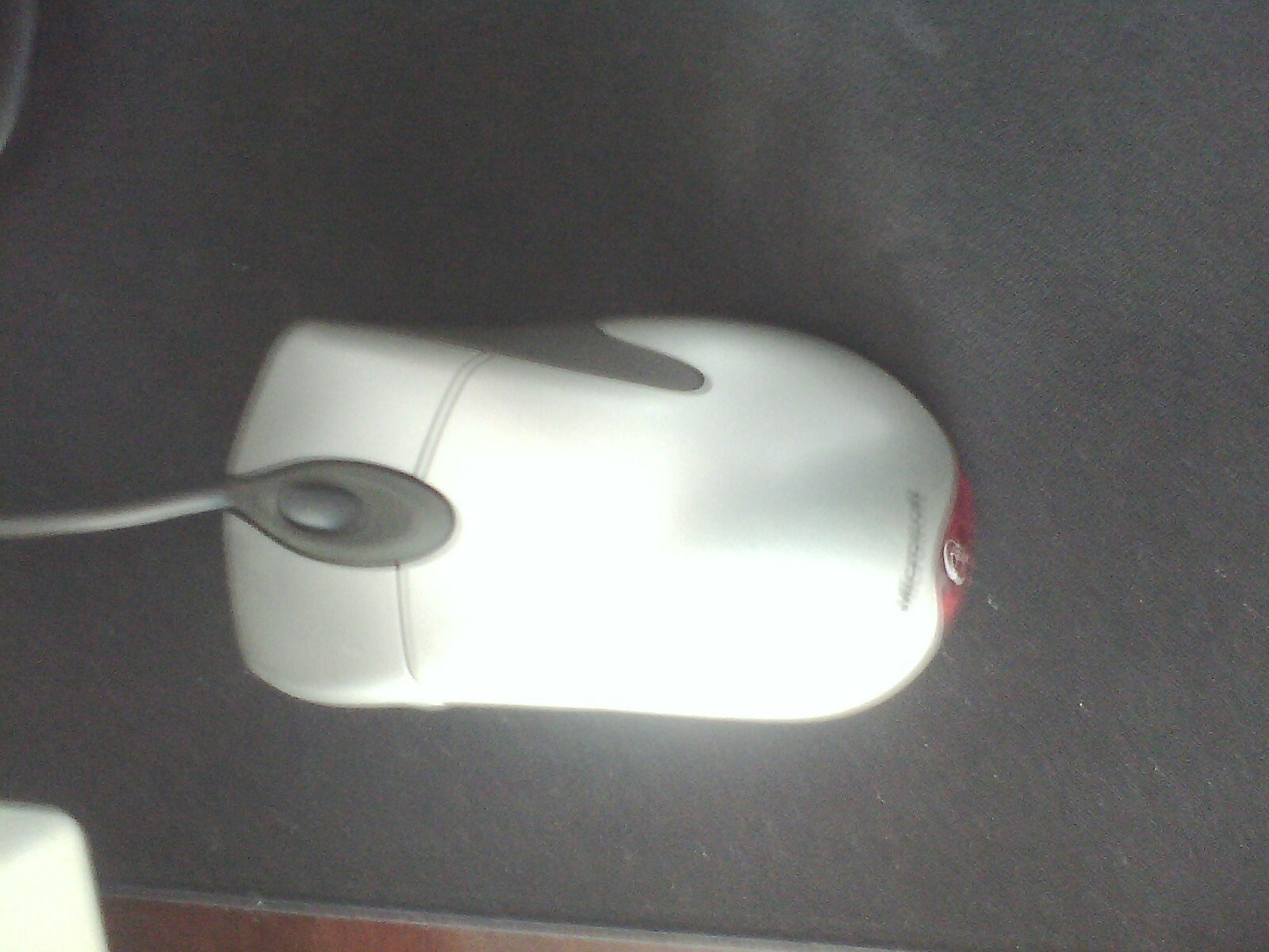 IMG0906090400.jpg