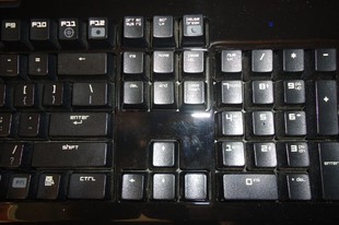 T2O18VXk4aXXXXXXXX_!!383733711_jpg_310x310.jpg