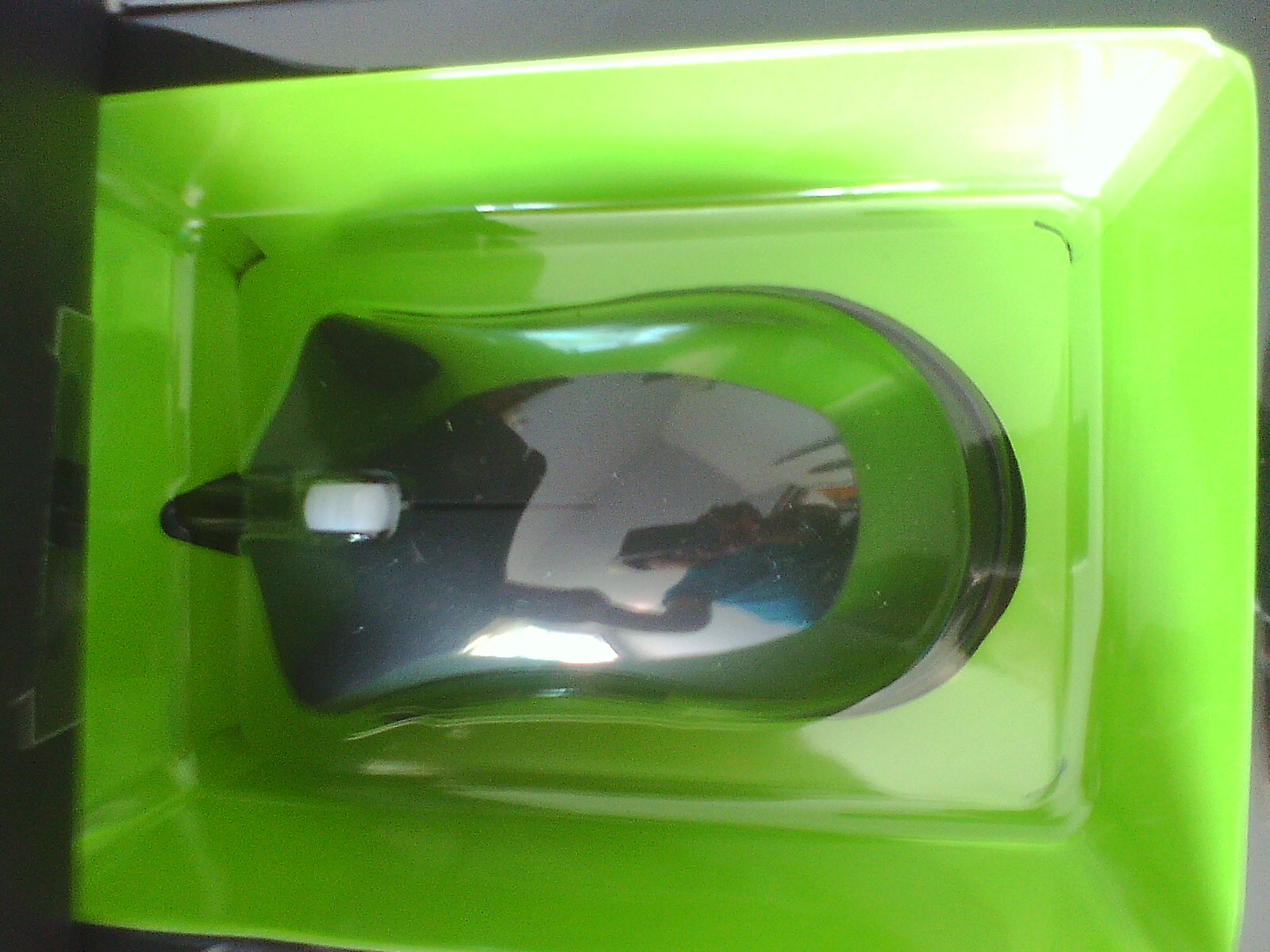IMG0906110800.jpg