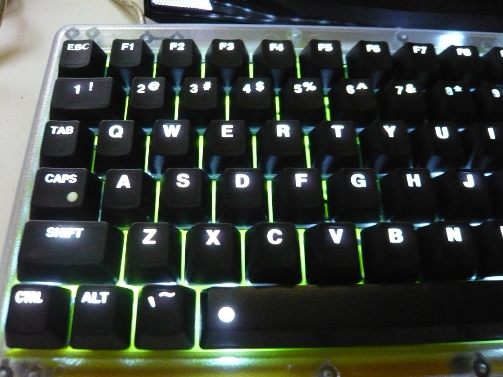 P1180418.JPG