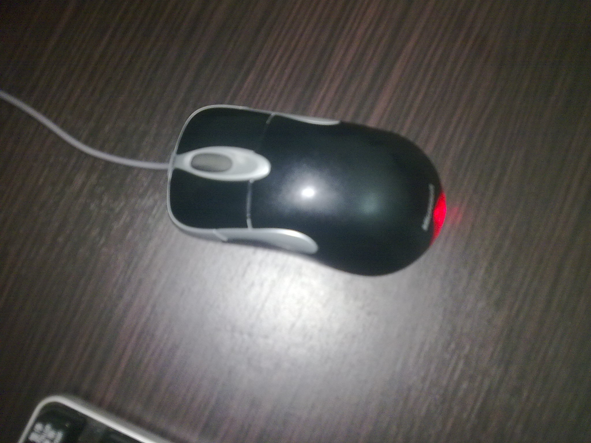 20110907310.jpg