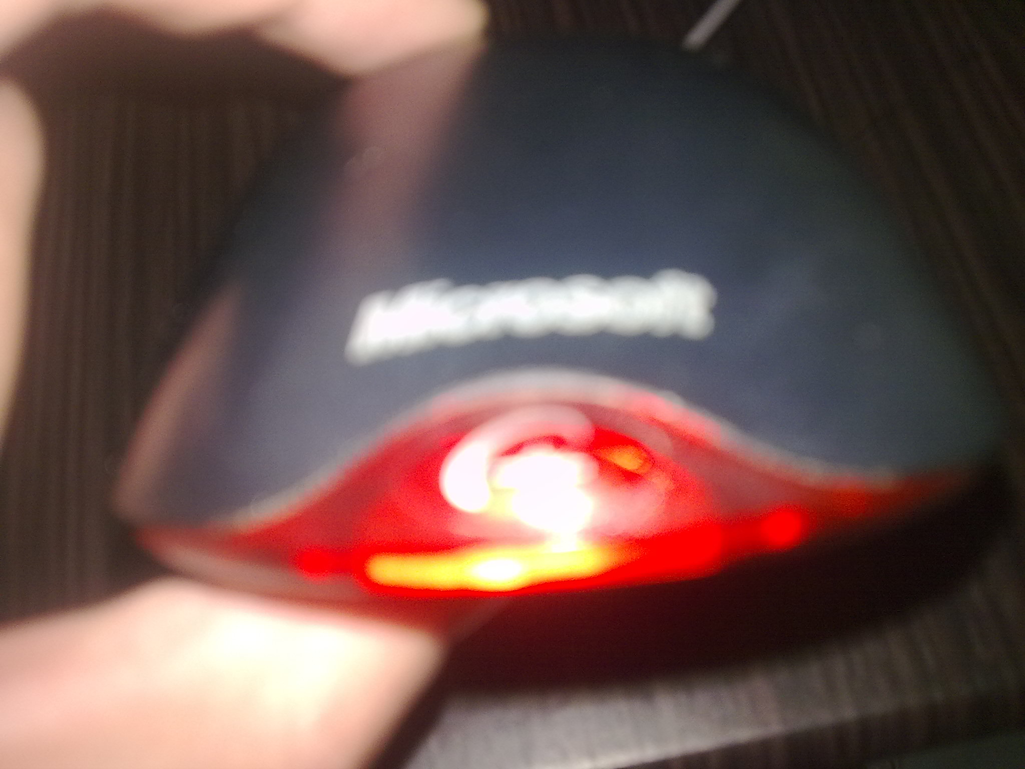 20110907305.jpg