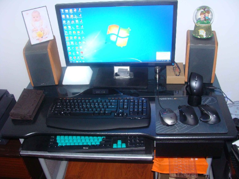 ����2010չ��2011 �޼��ݰ� �Ժ���������