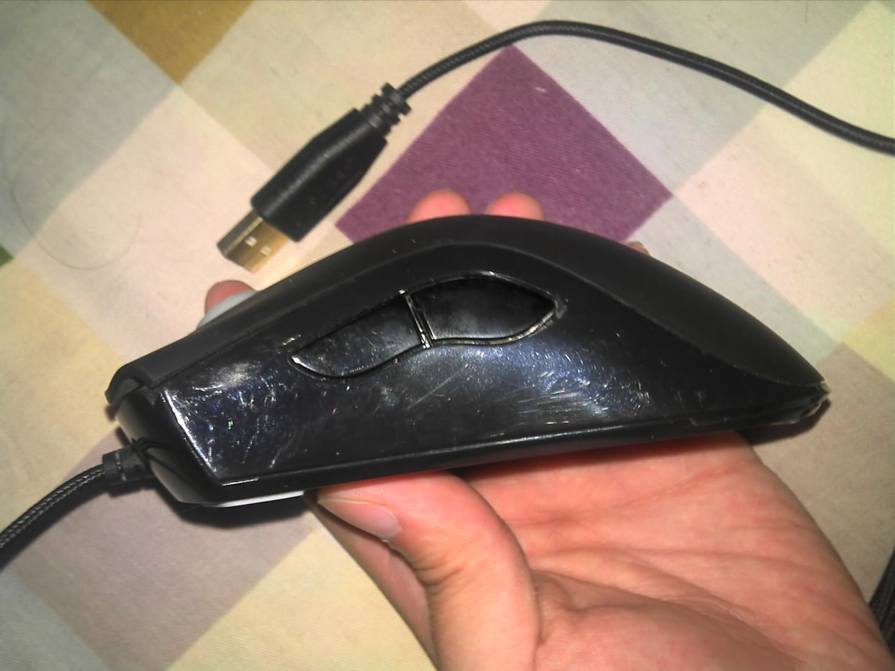 ���ѳ���������[��ͼ] 100 �� 3500dpi �տ�һֻ  mod������