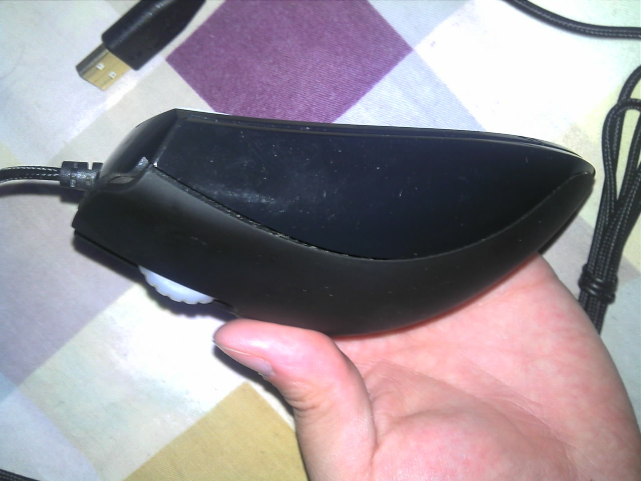 ���ѳ���������[��ͼ] 100 �� 3500dpi �տ�һֻ  mod������