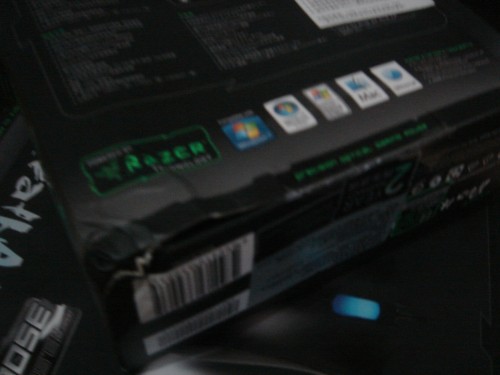 DSC03328_conew1.jpg