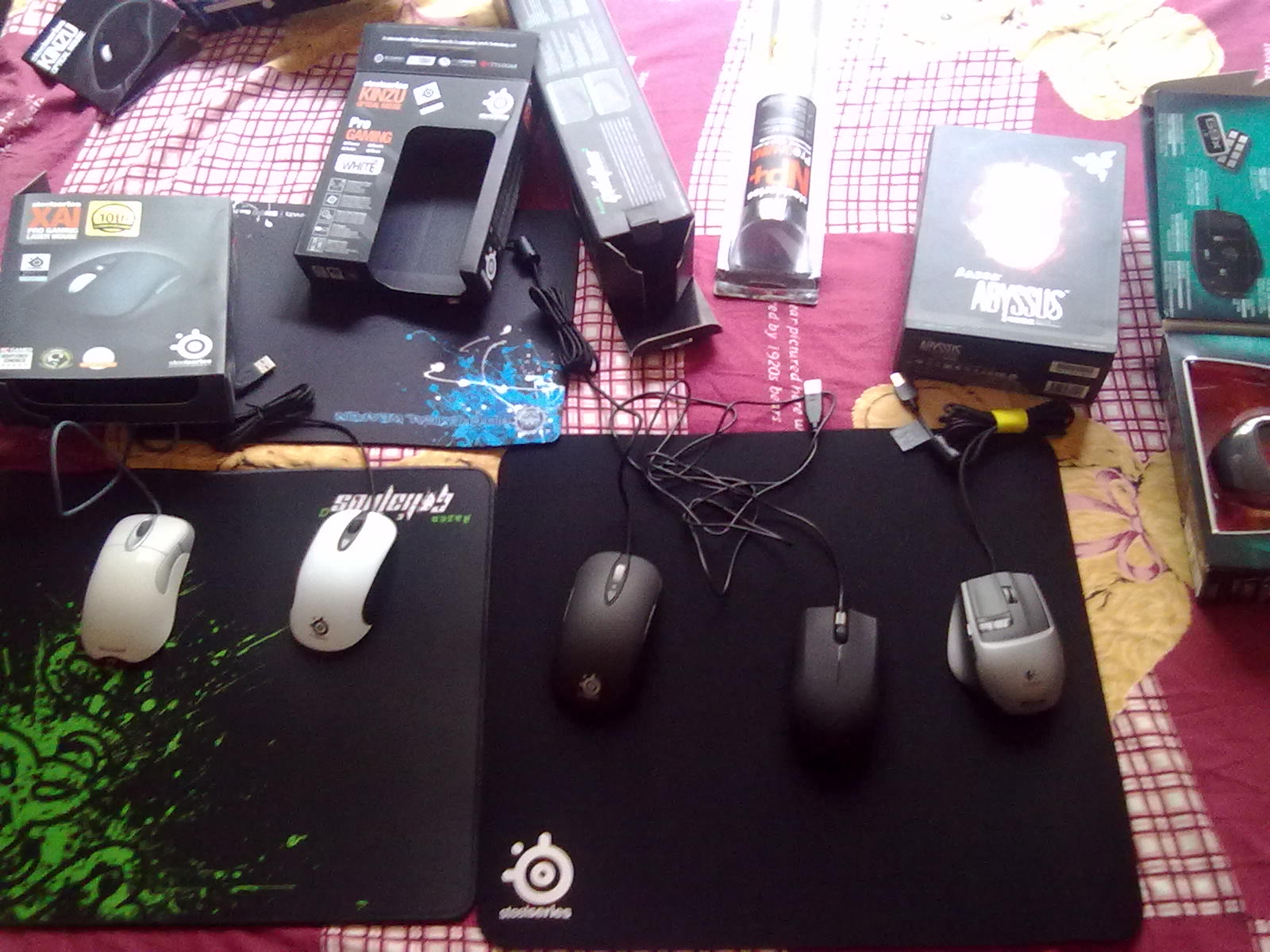������̳һ���ڱ���������Ů�������³ɹ��� ������λ����ָ���¡�