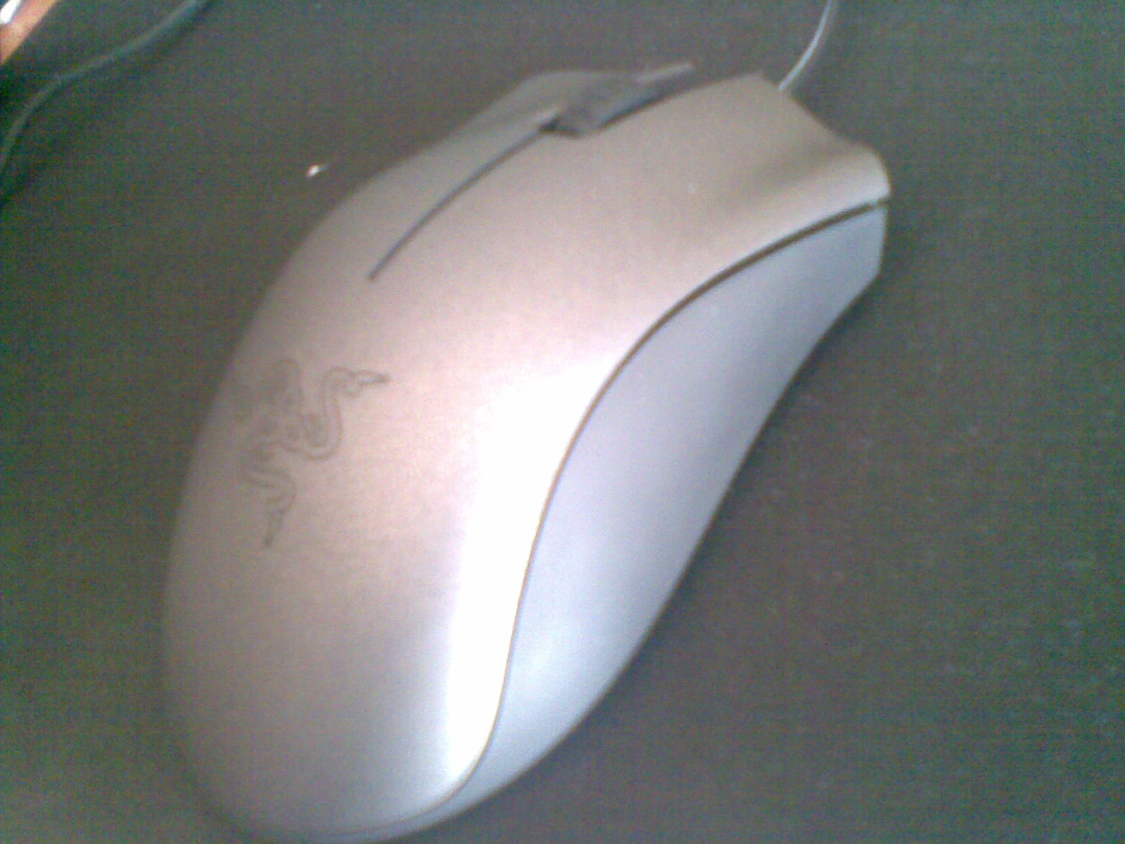20110913.jpg