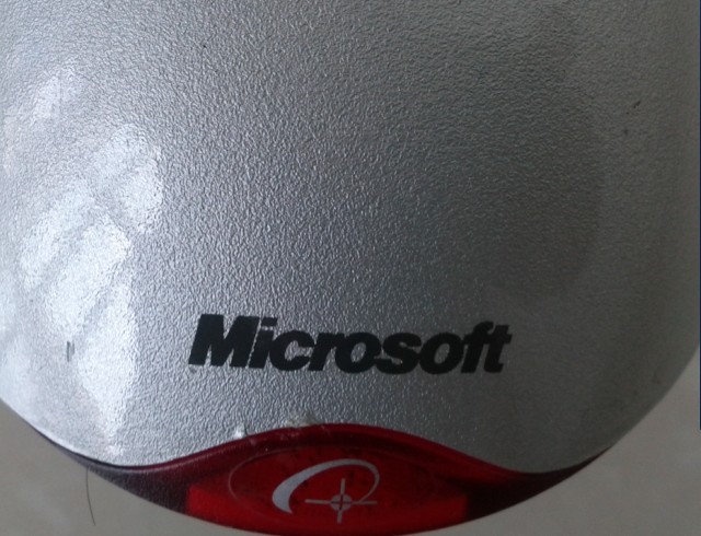 3123131.jpg