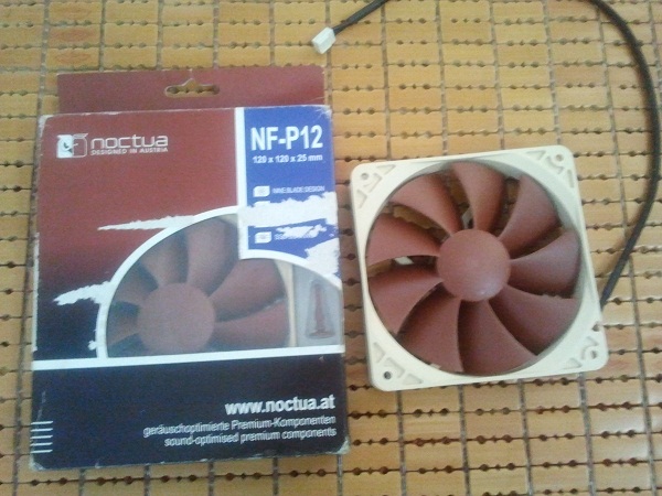 ��������èͷӥ12CM���ȣ�֥���ڴ�һ��
