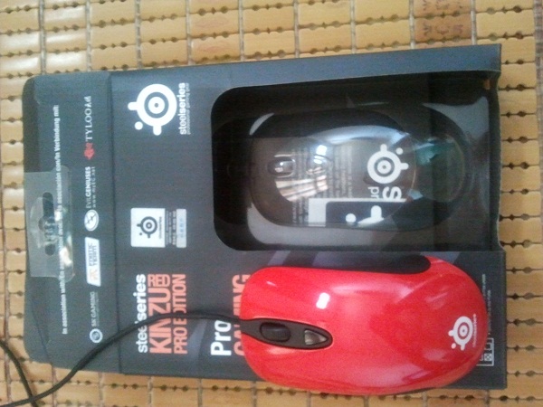 ��������èͷӥ12CM���ȣ�֥���ڴ�һ��