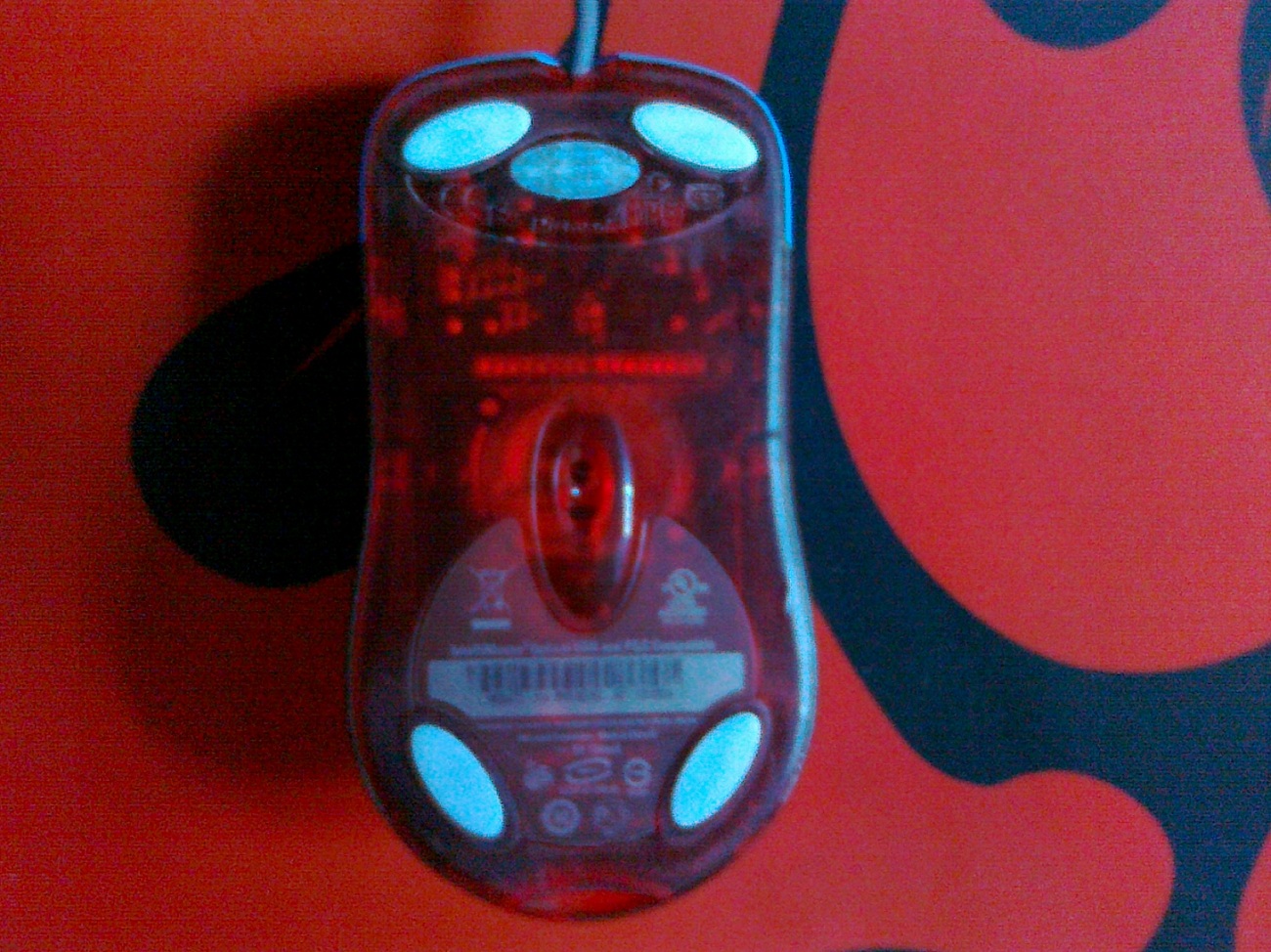 20110914152.jpg