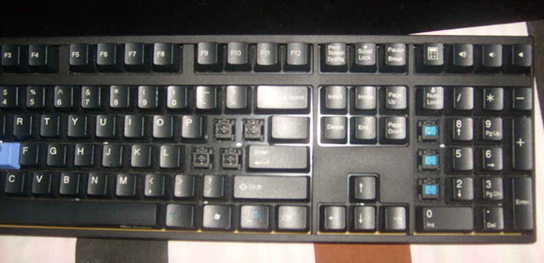 ���ۺ������Ѽ��DUCKY1008��е����