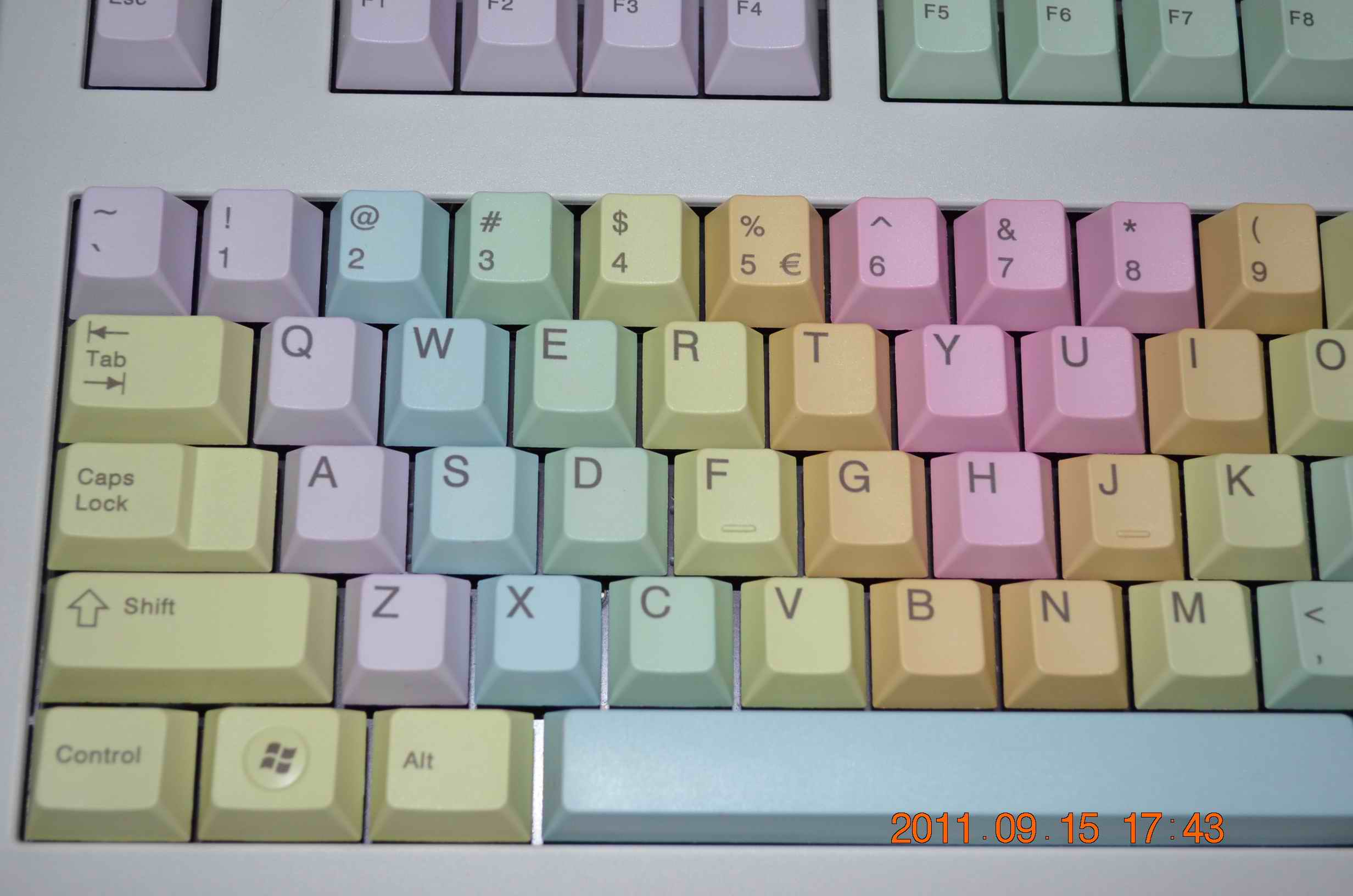 DSC_0313.JPG