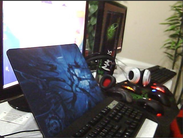 3333.jpg