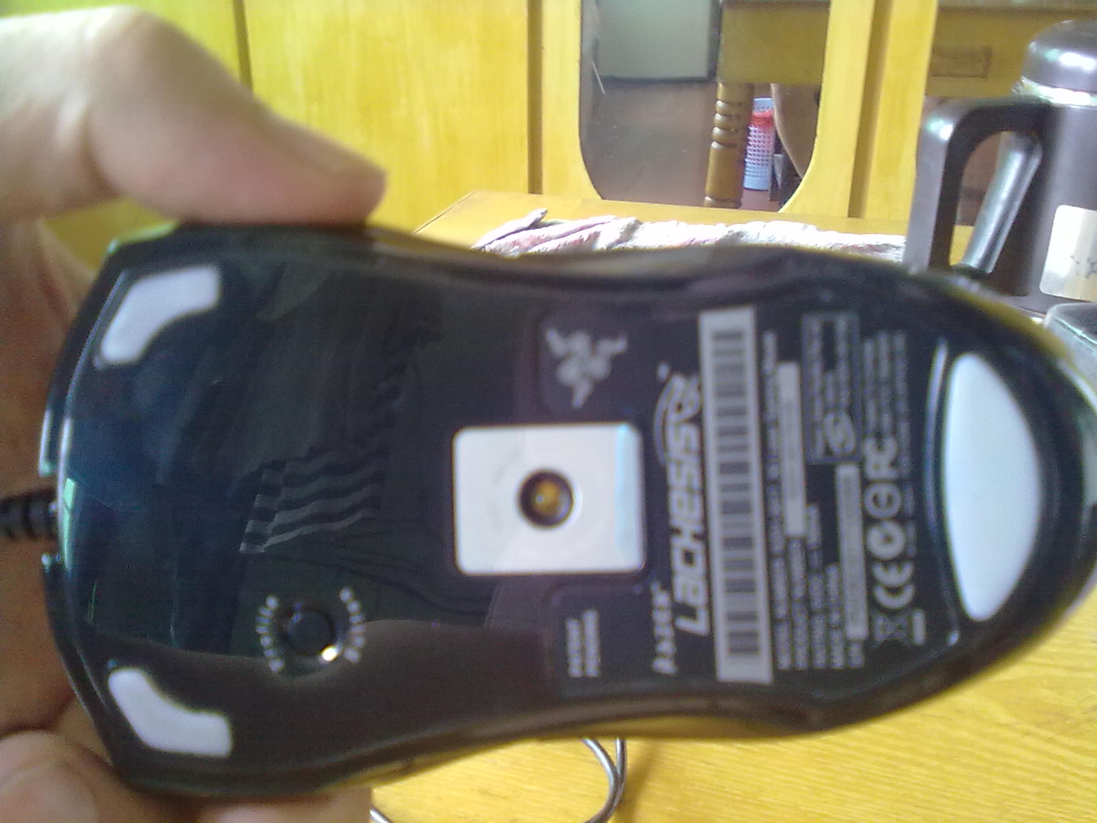 20110917172.jpg