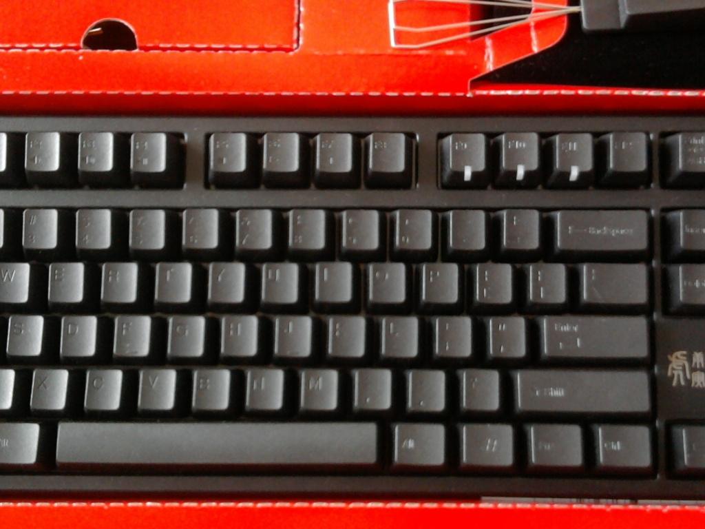 �ٳ� DUCKY ����衣���� 3496 ���� +  ���