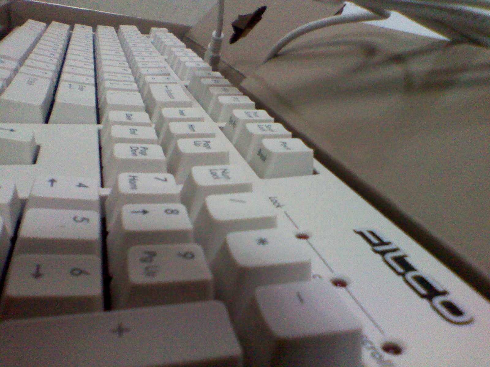 ����ɧ���У�come here