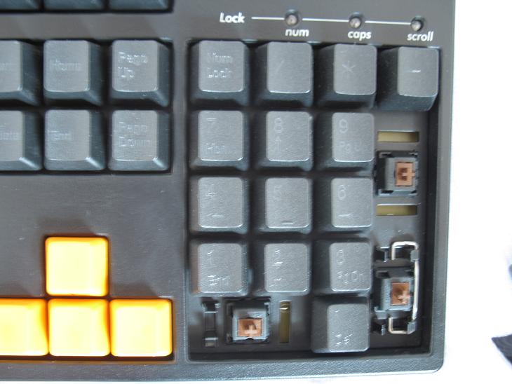 ����֤ʵ�ҵļ�ñ�����ǲ���PBT