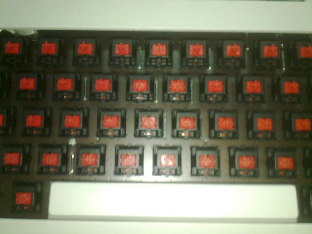 20110915097.jpg