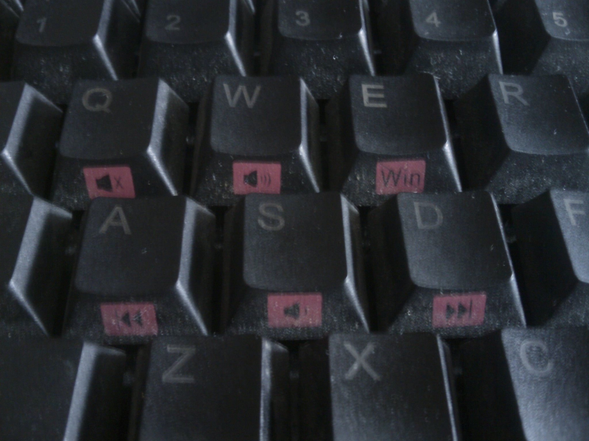 IMAG0434.jpg