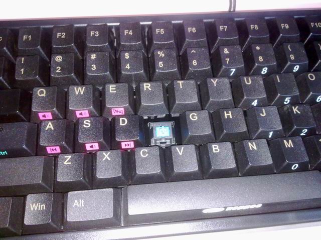 ������С 20110918332.jpg