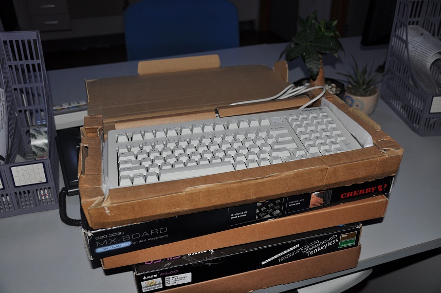 DSC_0966.JPG