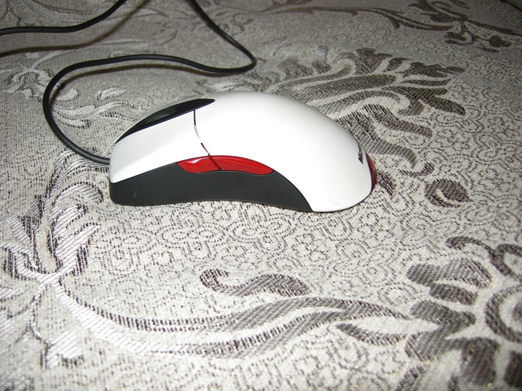 DSCN4625.JPG