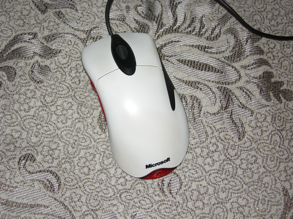 DSCN4624.JPG