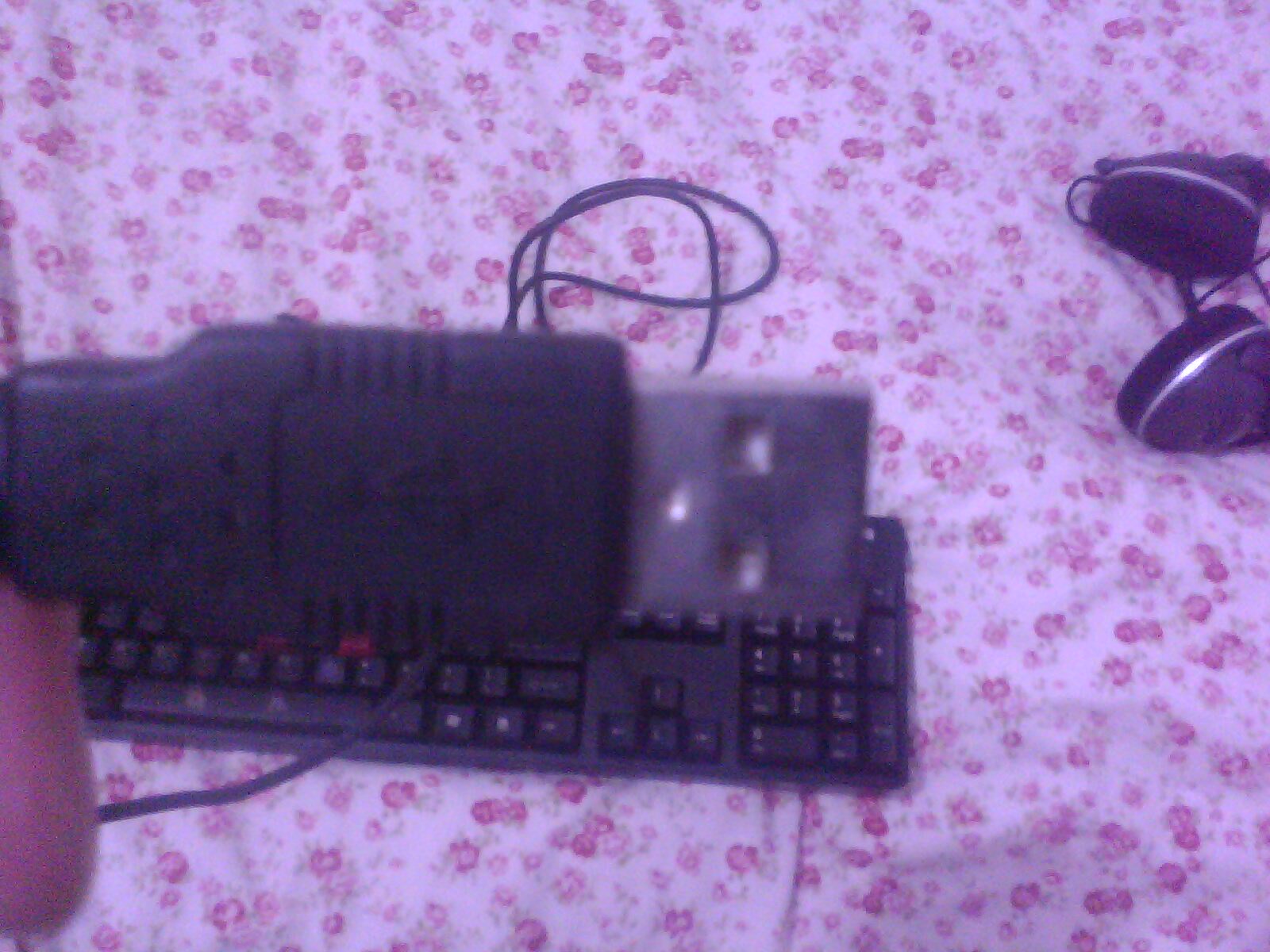 IMG0133A.jpg